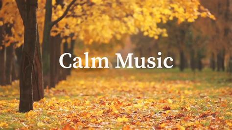 soft calmcool beats for testing|relaxing beats music.